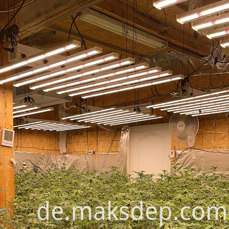 4x8 grow lights